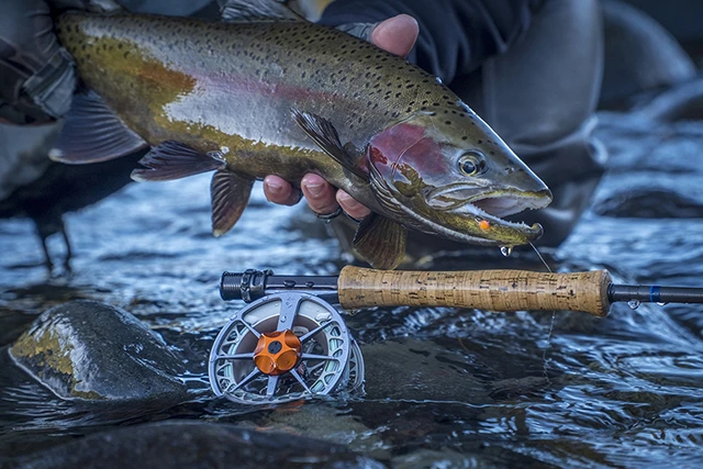 Lamson Guru 5 Lamson Guru - Image 5