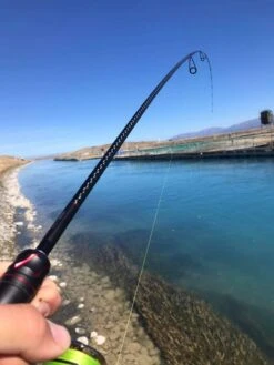 Shimano Zodias 280 Ultra Light 8ft Spin Rod -Simms Shop 60b03f3aef2fa