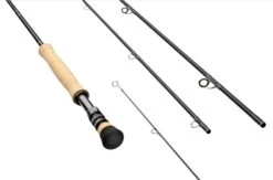 Sage Salt R8 Fly Rod (Select Weight)