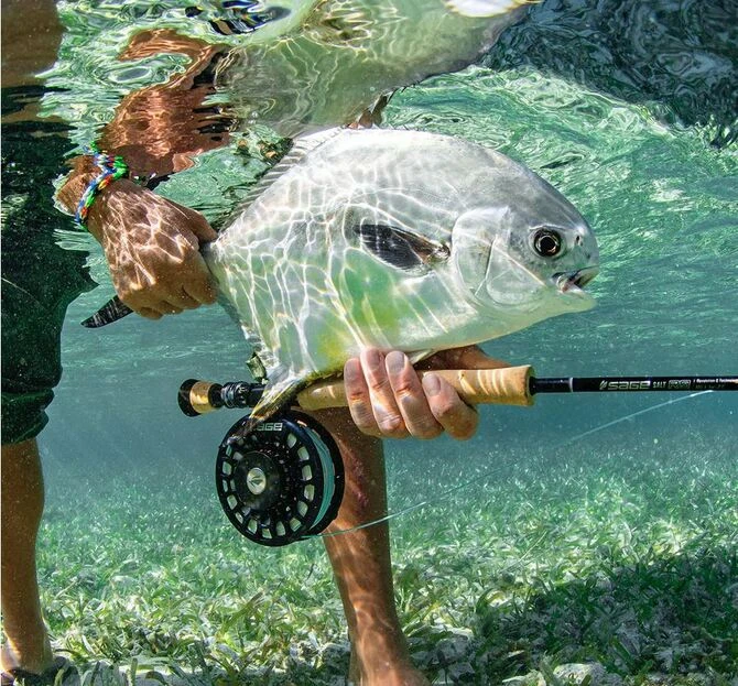 Sage Salt R8 Fly Rod (Select Weight) 3 Sage Salt R8 Fly Rod (Select Weight) - Image 3